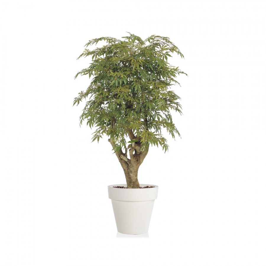 Planta semi-artificiala Ila, Maple Malabar Multicolor - 180 cm